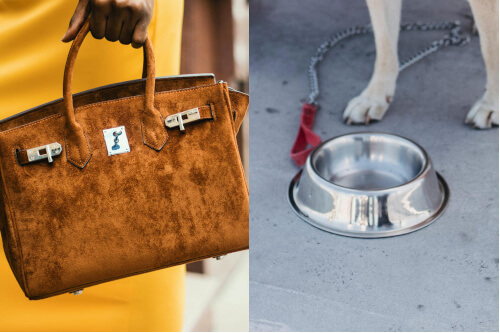 Leather tote bag and dog bowl